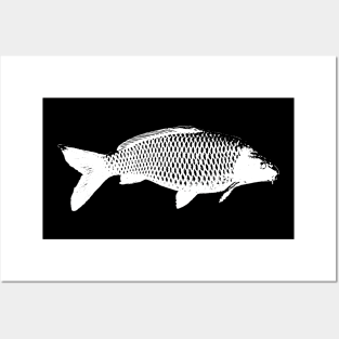 Carp white design Posters and Art